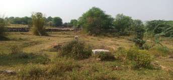 Commercial Land 80 Sq.Mt. For Resale in Jaisinghpura Jaipur  7301713