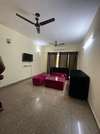 3 BHK Apartment For Rent in Paras Tierea Sector 137 Noida  7302433