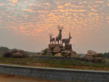  Plot For Sale in Adibatla