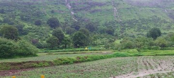Plot Area in  Plot at Igatpuri – for Sale