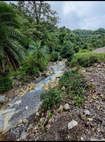 Plot Area in  Plot at Sahastradhara – for Sale