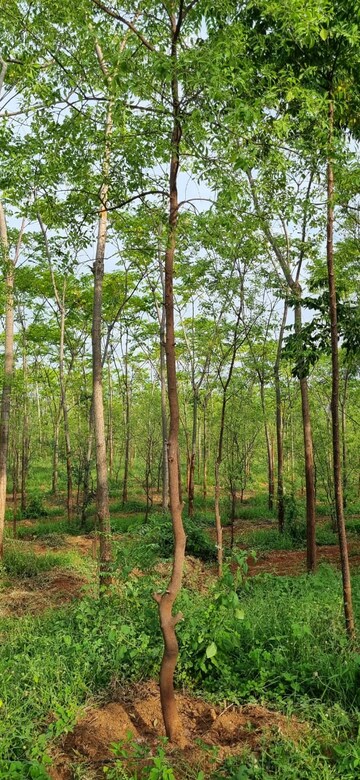  Plot – Garden View at Bibinagar - for Sale