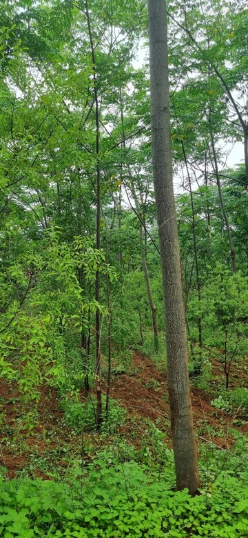  Plot – Garden View at Bibinagar - for Sale