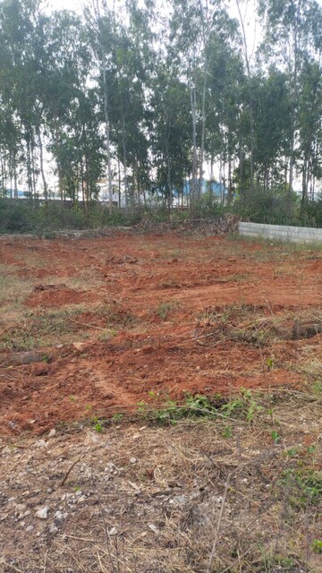 Plot For Resale in Nisarga Hi Tech Layout Hoskote Bangalore  7303873