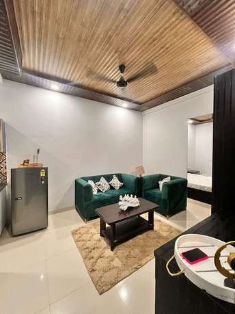 3 BHK Builder Floor For Rent in Sector 7 Gurgaon  7303936