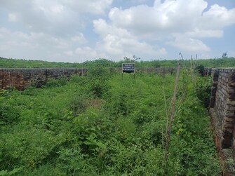 रेसिडेंशियल प्लॉट वर्ग यार्ड फॉर रीसेल इन सहस्त्रधारा रोड देहरादून  7304060