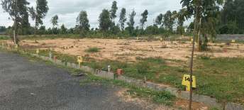 Plot For Resale in Hulimangala Bangalore  7304141
