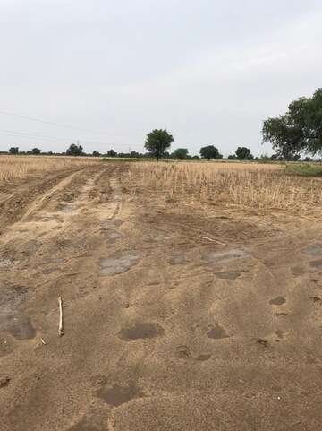 Plot Area in  Plot at Sultanpur – for Sale