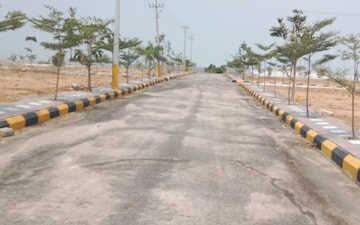 Plot For Sale in Barkatpura