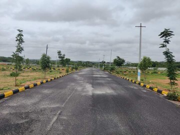 Plot For Resale in Himayat Nagar Hyderabad  7304461