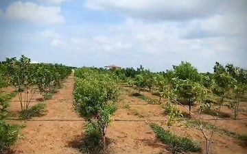 Plot For Sale in Saidabad