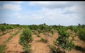 Plot For Sale in Jubilee Hills