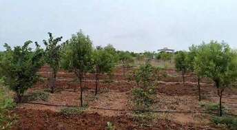 Plot For Resale in Miyapur Hyderabad  7304584