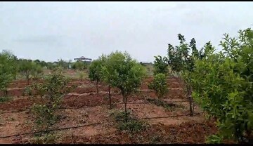  Plot For Sale in Chanda Nagar