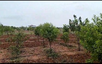 Plot For Sale in Chanda Nagar