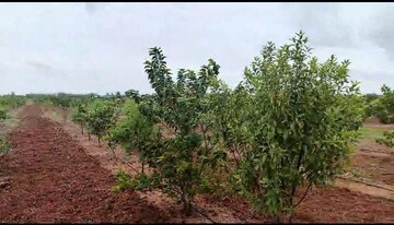  Plot For Sale in Deepthisri Nagar