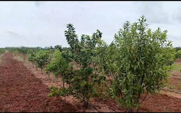 Plot For Sale in Deepthisri Nagar