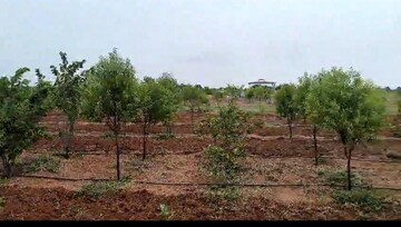  Plot For Sale in Madinaguda