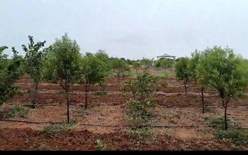 Plot For Sale in Madinaguda