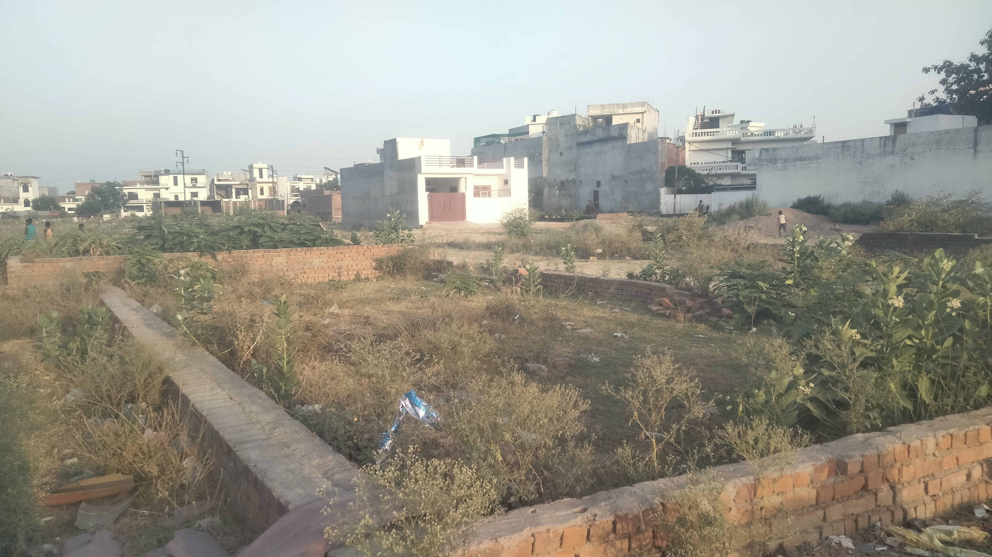 Plot For Resale in Kamta Lucknow  7304729