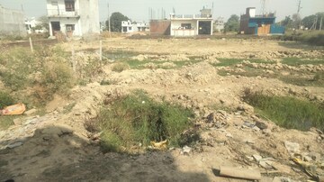 Plot Area in  Plot at Kamta – for Sale