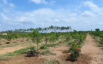 Plot For Sale in Nizampet