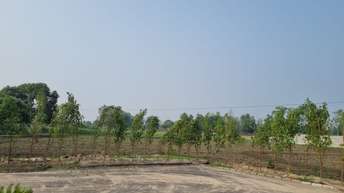 Plot For Resale in Sector 26 A Sonipat  7304795