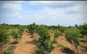 Plot For Sale in Snehapuri Colony