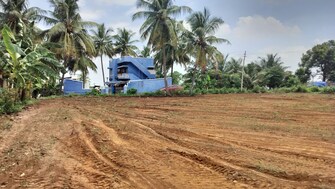 Commercial Industrial Plot 22000 Sq.Ft. For Resale in Karuppur Salem  7305089