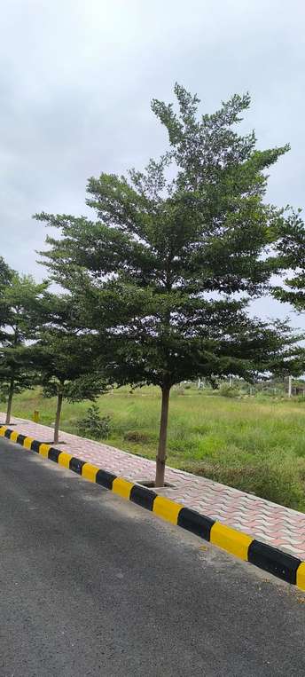 Plot For Resale in Muthangi Hyderabad  7305153