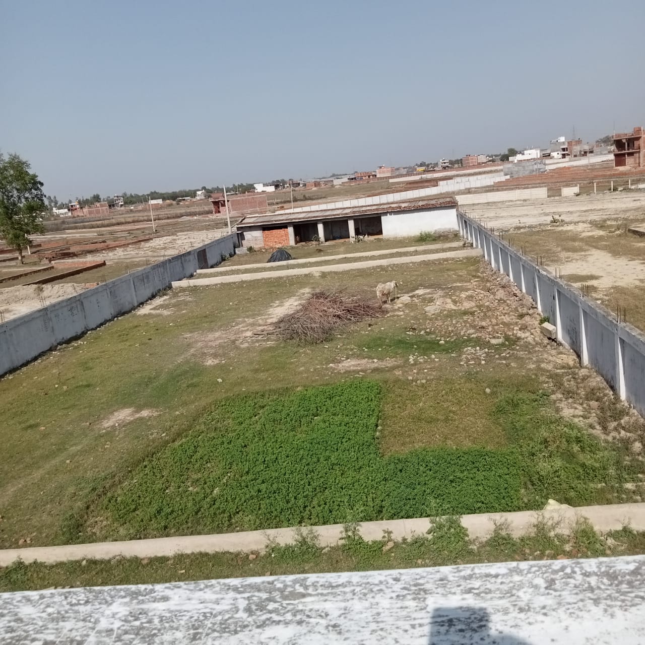 Plot For Resale in Nagram Road Lucknow  7305174