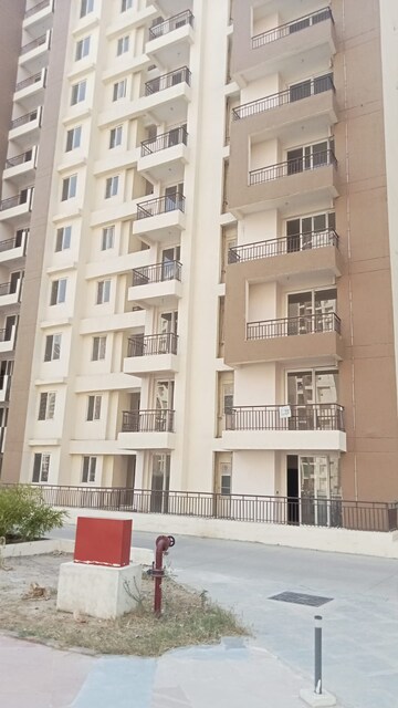 2.5 BHK Apartment – Exterior View View at Amrapali Golf Homes, Sector 4, Greater Noida - for Sale