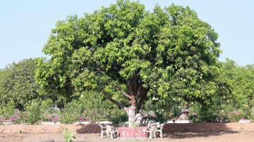  Plot – Garden View at Kacharam - for Sale