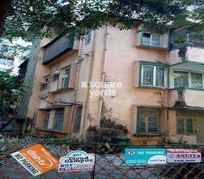 3 BHK Apartment For Resale in Willadel Apartment Bandra West Mumbai  7305694