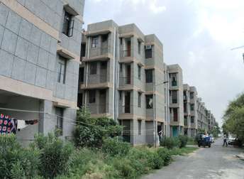 1 BHK Apartment For Rent in Noida Ext Sector 10 Greater Noida  7305750