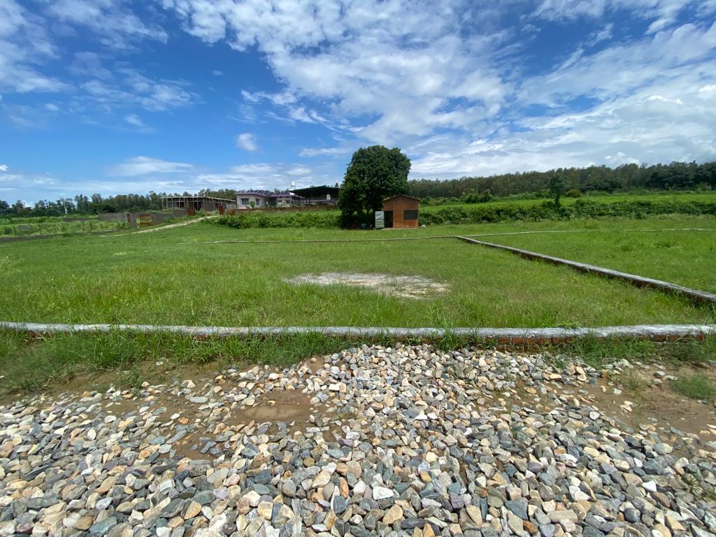 Plot For Resale in Bhauwala Dehradun  7305866