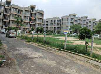 1 BHK Apartment For Rent in Noida Ext Sector 10 Greater Noida  7305903