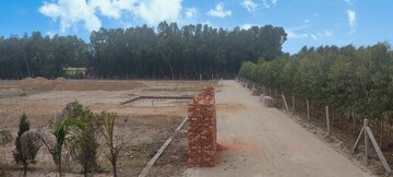 Plot Area in  Plot at Ganga Nagar – for Sale