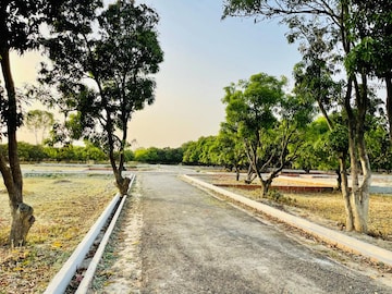 Plot Area in  Plot at Star City, Alambagh – for Sale