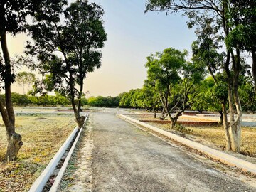 Plot Area in  Plot at Star City, Alambagh – for Sale