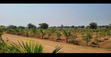 Plot Area in  Plot at Alair – for Sale