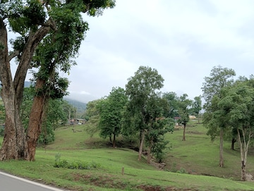  Plot – Garden View at Alair - for Sale