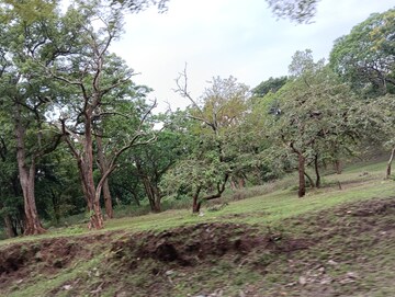 Plot Area in  Plot at Alair – for Sale