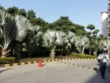 1 BHK Apartment – Exterior View View at Signature Global Synera, Sector 81 - for Sale