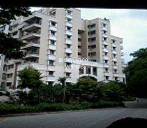 3 BHK Apartment For Rent in Sterling Terraces Banashankari Bangalore  7308531
