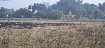 Plot Area in  Plot at Dankaur Inner Township, Dankaur – for Sale