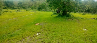 Plot For Resale in Murbad Thane  7308702