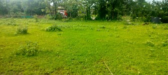 Plot For Resale in Murbad Thane  7308702