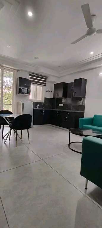1 BHK Apartment For Rent in Freedom Fighters Enclave Saket Delhi  7308821