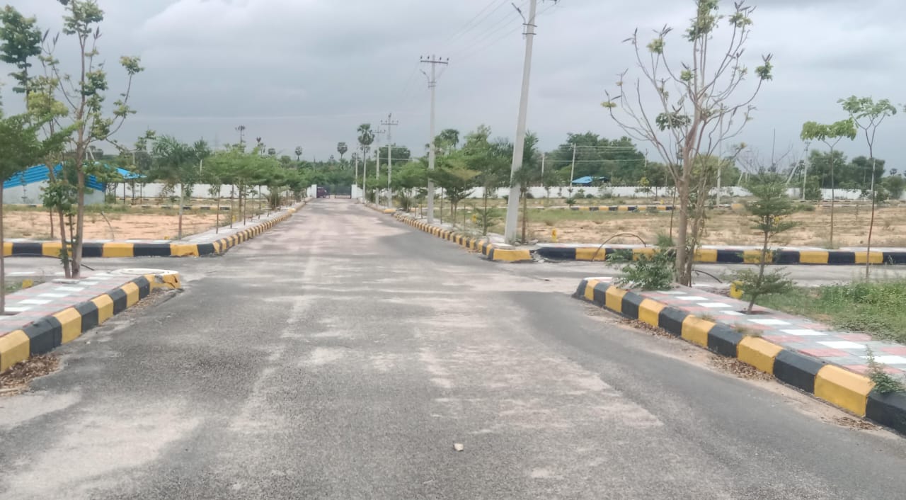 Plot For Resale in Hakimpet Hyderabad  7308843